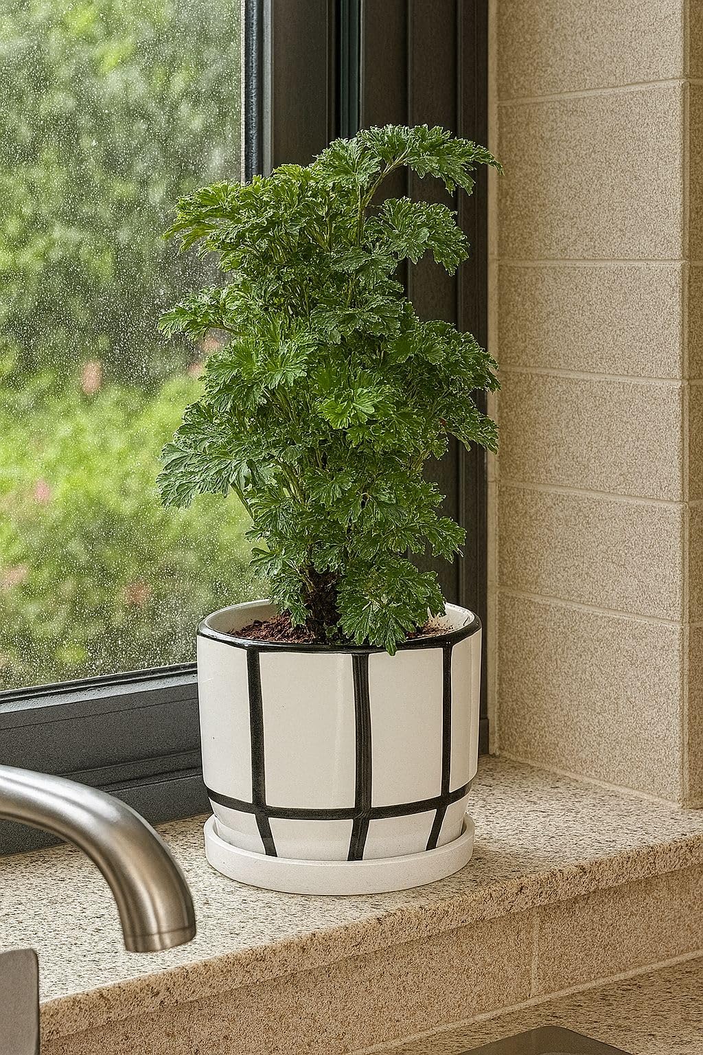 Plants World Nursery and Garden Centre Modern Ceramic Planter with Black Grid Pattern, Attached Saucer, 5 inches Tall x 5.5 inches Diameter, White