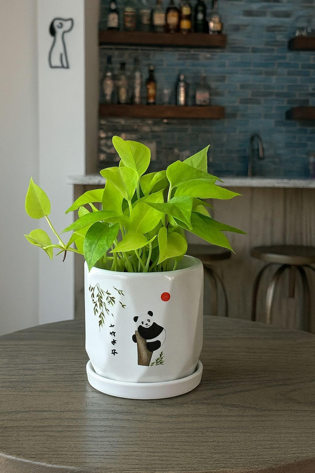 Plants World Nursery and Garden Centre Ceramic Plant Pot with Panda Design, 5 inches Tall x 5 inches Diameter, White Planter with Attached Drainage Tray, Japanese Style