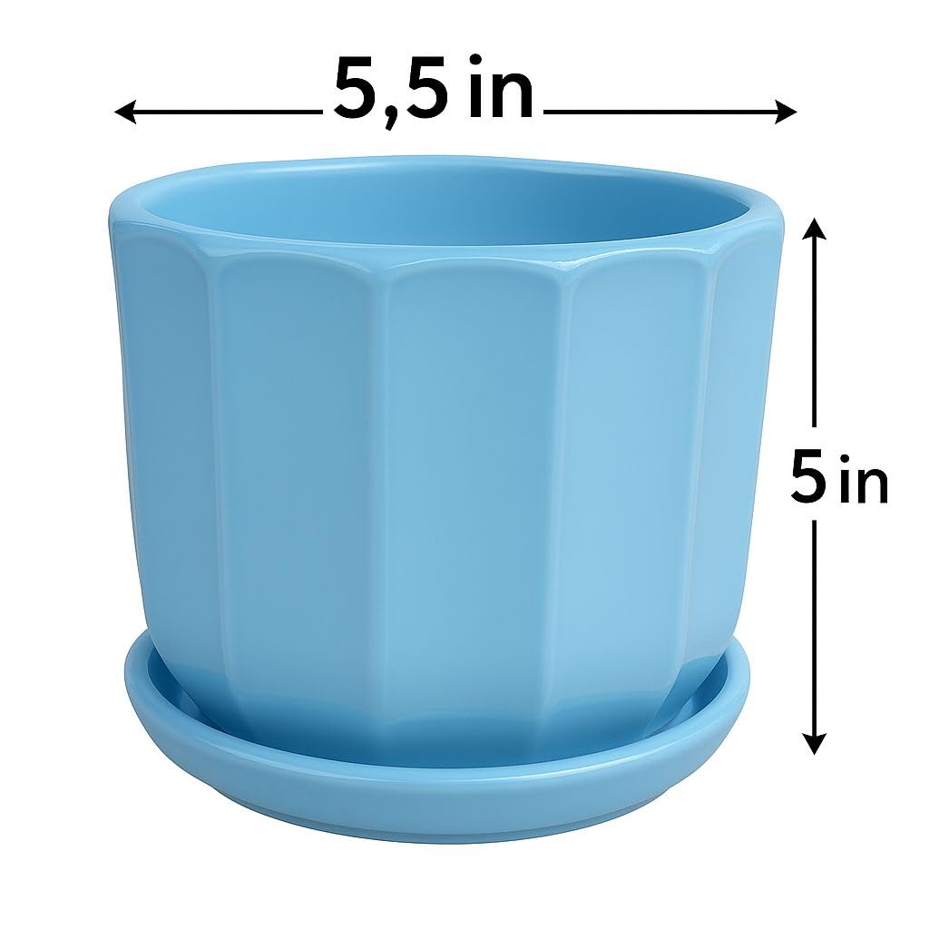 Plants World Nursery and Garden Centre Decorative Ceramic Plant Pot with Attached Saucer, Light Blue, 5 inches Tall x 5.5 inches Diameter