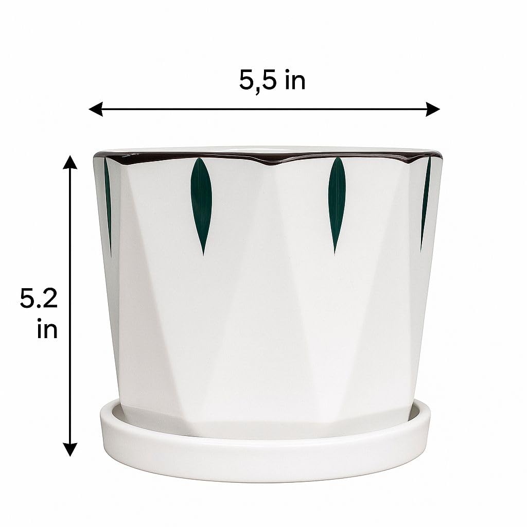 Plants World Nursery and Garden Centre Modern Ceramic Plant Pot with Attached Saucer, 5.2 inches Tall x 5.5 inches Diameter, White with Green Leaf Pattern