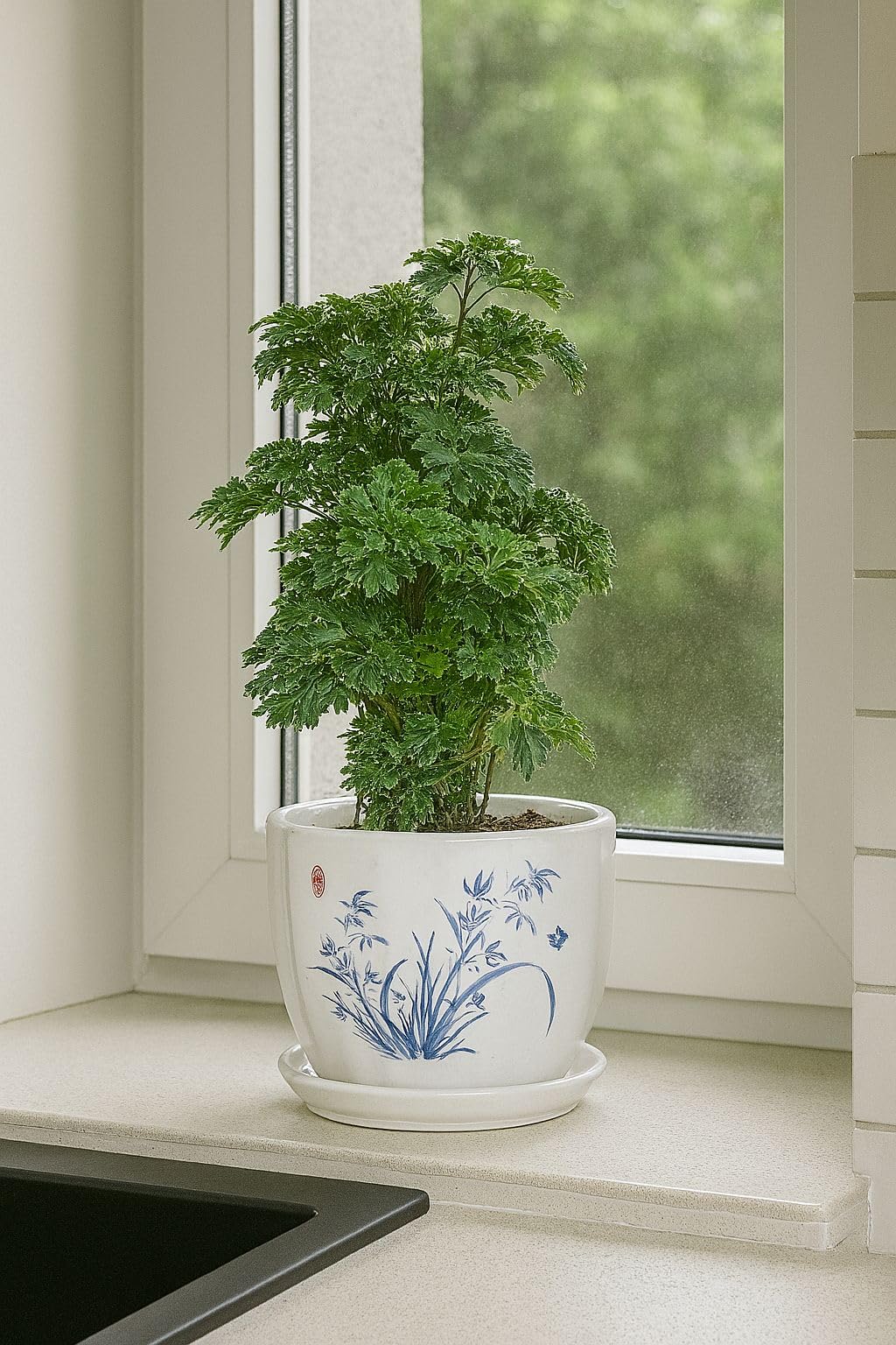 Plants World Nursery and Garden Centre Decorative Ceramic Plant Pot with Attached Saucer, White with Blue Leaf Design, 5 inches Tall x 5.5 inches Diameter