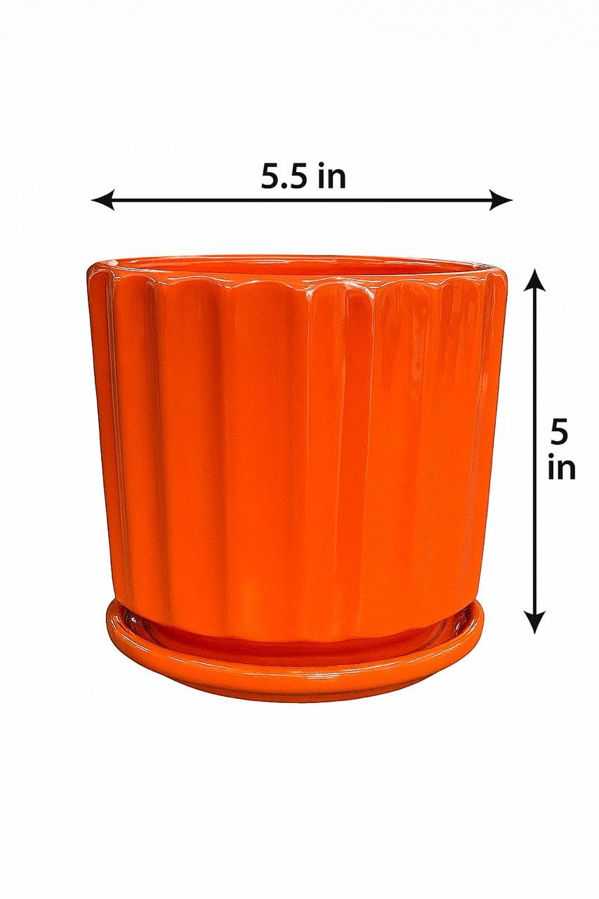Plants World Nursery and Garden Centre Ceramic Plant Pot with Attached Saucer, Orange, 5 inches Tall x 5.5 inches Diameter, Ribbed Design