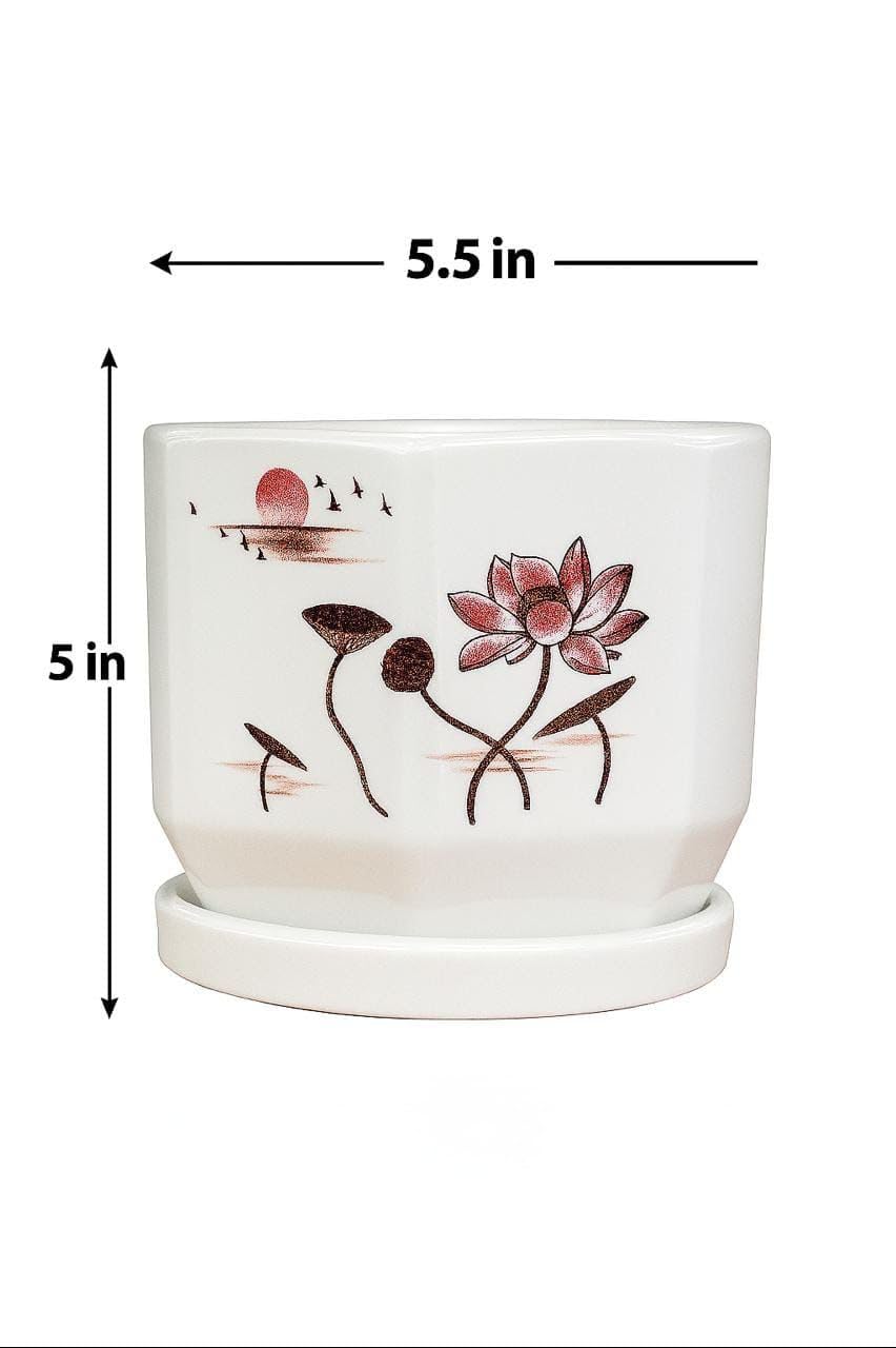 Plants World Nursery and Garden Centre Decorative Ceramic Planter Pot with Lotus Design, 5 inches Tall x 5.5 inches Diameter, White with Attached Drainage Saucer