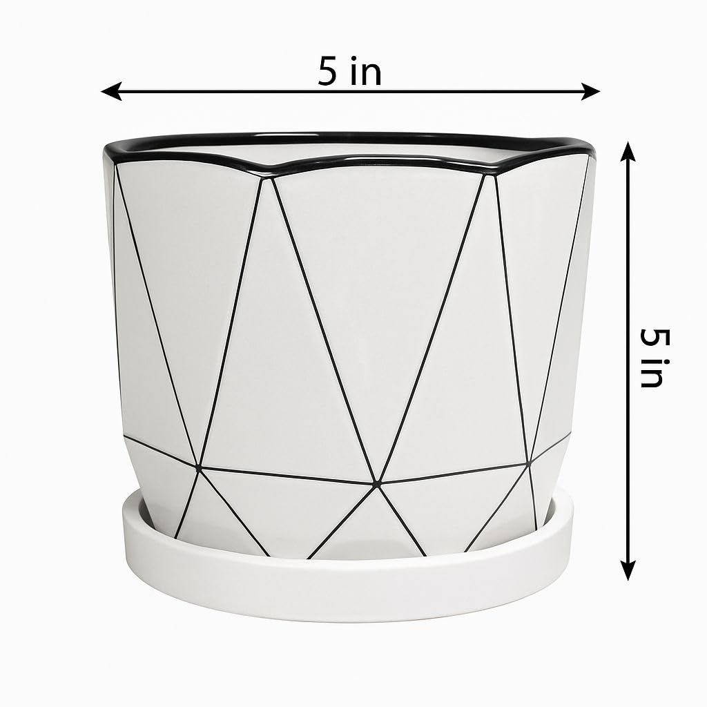Plants World Nursery and Garden Centre Modern Geometric Ceramic Plant Pot with Attached Drainage Tray, White, 5 inches Tall x 5 inches Diameter