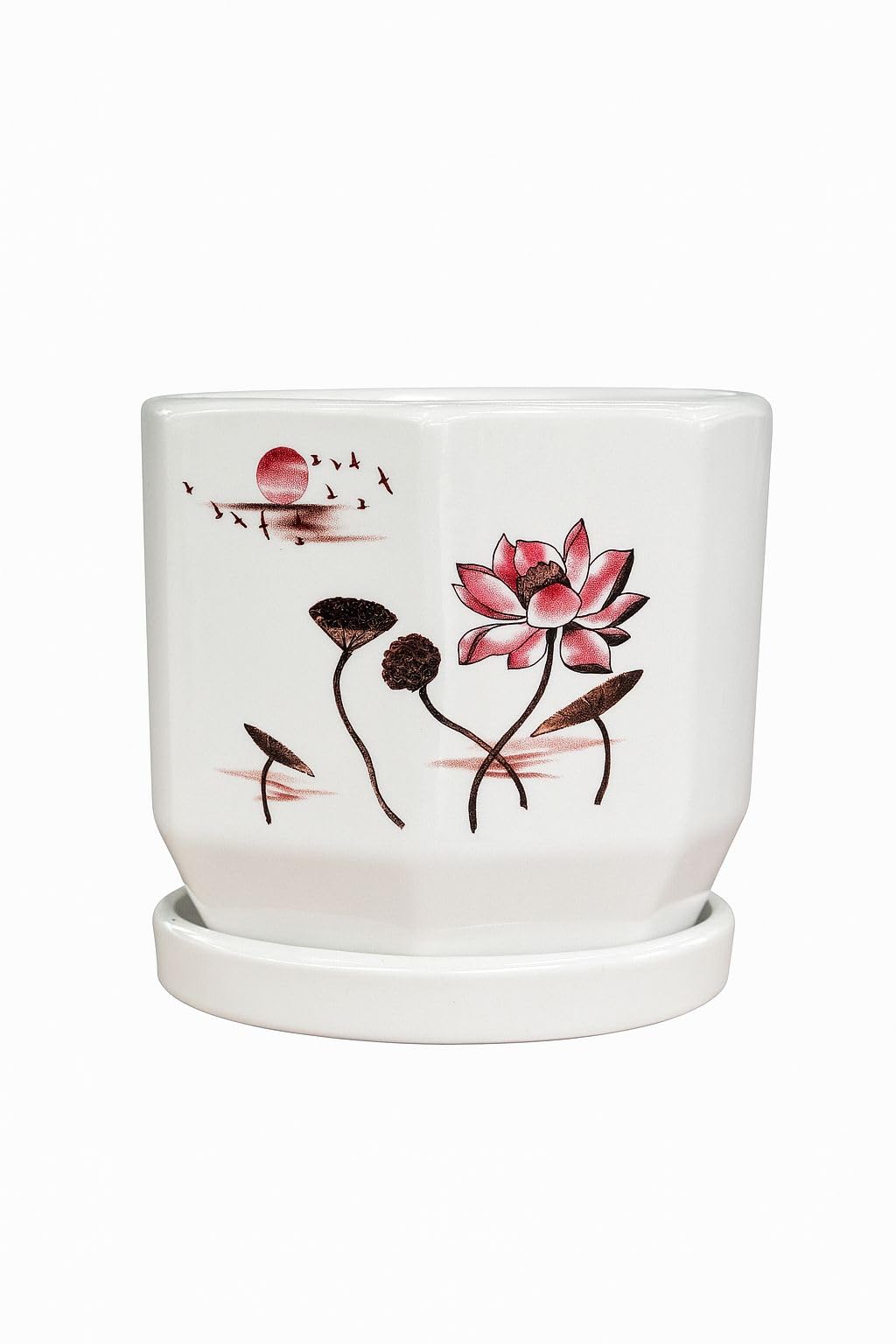 Plants World Nursery and Garden Centre Decorative Ceramic Planter Pot with Lotus Design, 5 inches Tall x 5.5 inches Diameter, White with Attached Drainage Saucer