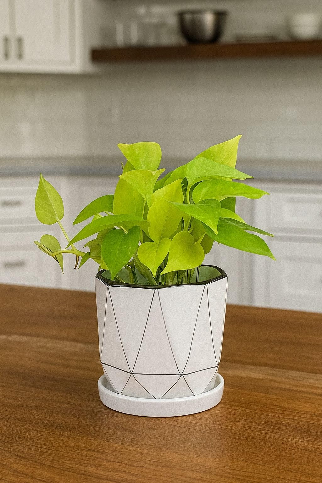 Plants World Nursery and Garden Centre Modern Geometric Ceramic Plant Pot with Attached Drainage Tray, White, 5 inches Tall x 5 inches Diameter
