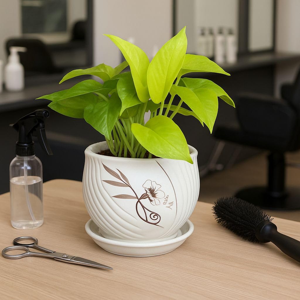 Plants World Nursery and Garden Centre Decorative Ceramic Plant Pot with Attached Saucer, 4.5 inches Tall x 5 inches Diameter, White with Brown Floral Design