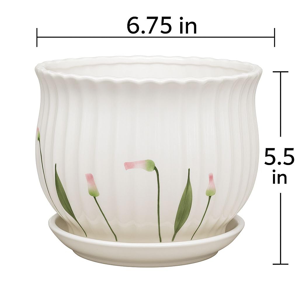 Plants World Nursery and Garden Centre Ceramic Flower Pot with Attached Saucer, White Ribbed Design with Tulip Pattern, 5.5 inches Tall x 6.75 inches Diameter