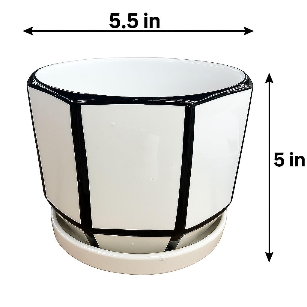 Plants World Nursery and Garden Centre Modern Ceramic Planter with Black Grid Pattern, Attached Saucer, 5 inches Tall x 5.5 inches Diameter, White