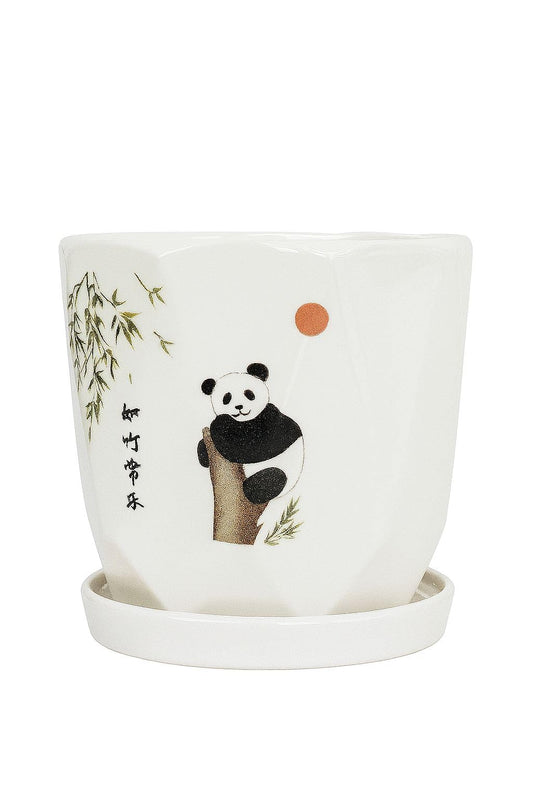 Plants World Nursery and Garden Centre Ceramic Plant Pot with Panda Design, 5 inches Tall x 5 inches Diameter, White Planter with Attached Drainage Tray, Japanese Style